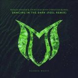 Roman Messer & Twin View with Christian Burns - Dancing In The Dark (FEEL Extended Remix)