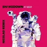 Shakedown - At Night (Nicolao Extented Remix)