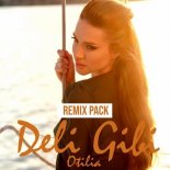 Otilia - Deli Gibi (Silvva Extended Remix)