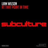 Liam Wilson - At That Point In Time (Extended Mix)