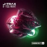 J-Trax - If You Want [Extended Mix]