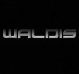 Waldis - Going Down (Original Mix)
