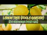 Fools Garden - Lemon Tree (DjCrozfire Bomb Mix)