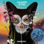 Galantis & Jvke - Dandelion (Original Mix)
