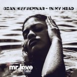 Ozan Huyukpinar - In My Head (Original Mix)