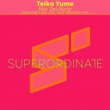Teiko Yume - Mar Del Norte (Sebastian Haas Remix)