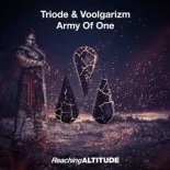 Triode & Voolgarizm - Army Of One (Original Mix)
