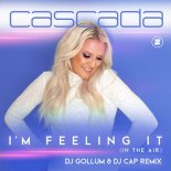 Cascada - I\\\\\\\'m Feeling It (In The Air) (DJ Gollum & DJ Cap Remix)