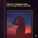 2Shy Ft Vanessa Cara - Little Of Love