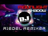 Mike Oldfield - Moonlight Shadow (Riedel Remixer)