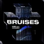 Cid - Bruises (feat Gramercy)