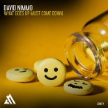 David Nimmo - What Goes Up Must Come Down (Extended Mix)