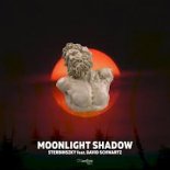 Sterbinszky feat. David Schwartz - Moonlight Shadow