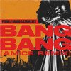 Fedde Le Grand & 22Bullets - Bang Bang (Amice Remix)
