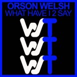 Orson Welsh - What Have I 2 Say (Extended Mix)