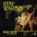 Deniz Koyu, Richard Judge - Stay Wasted (Radio Edit)