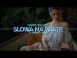 Disco Project - Słowa Na Wiatr (K3 & Fair Play Remix)