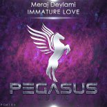Meraj Deylami - Immature Love