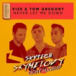 Skytech vs Vize & Tom Gregory - Skymelody vs Never Let Me Down (Cichy Mashup)