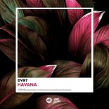 DVRT - Havana