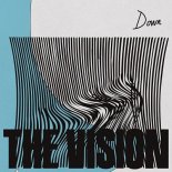 The Vision feat. Dames Brown - Down (Riva Starr VIP Club Remix)