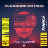 Kryder & Mark Roma vs Tiesto feat. Aloe Blacc & Stargate - Pleasure or Pain vs Carry You Home (Kahikko Remix) [Cichy Mashup]