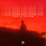 FSB & KRISM - I Was Made For Lovin' You (Extended Mix)