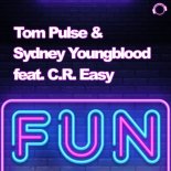 Tom Pulse & Sydney Youngblood feat. C.R. Easy - Fun (Disco Edit)