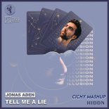 HIDDN vs Jonas Aden - Illusion vs Tell Me A Lie (BLK Remix) [Cichy Mashup]