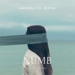 Dj Kapral & Osya - Numb (Linkin Park Cover)