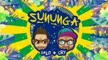 SUNUNGA - VALO & CRY rmx