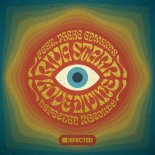 Riva Starr feat. Phebe Edwards - Love Divine (Extended Mix)