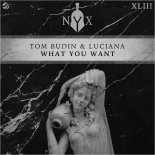 Tom Budin & Luciana - What You Want (Extended Mix)