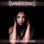 Evanescence X Sam Collins & XM - Bring Me To Life (Kaltaev Mix)
