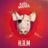 AXEL WIKNER -  H.A.M  (Extended Mix)