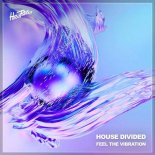 House Divided - Feel The Vibration (Extended Mix)
