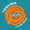 Tesher - Jalebi Baby (DJ BAUR Remix)