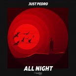 Just Pedro - All Night
