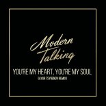 Modern Talking - You're my heart, you're my soul (Ayur Tsyrenov extended remix)