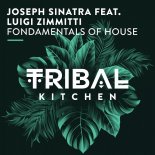 Joseph Sinatra, Luigi Zimmitti - Fondamentals of House (Extended Mix)