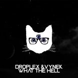 Droplex, Vynek - What The Hell (Original Mix)