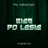 Ms. Kabanozz - Bieg po lesie (Original mix)