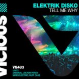 Elektrik Disko - Tell Me Why (Extended Mix)
