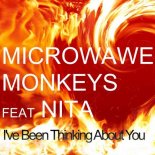 Microwave Monkeys feat. Nita - I've Been Thinking About You (Original Mix)