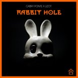 Gabry Ponte & Lizot - Rabbit Hole