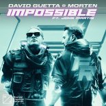 David Guetta & MORTEN feat. John Martin - Impossible