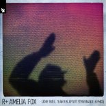 Faithless & R Plus ft. Amelia Fox - Love Will Tear Us Apart (Tensnake Extended Remix)