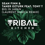 Sean Finn, Tony T, Taner Ozturk - Big in Japan (Laurent Simeca Remix)