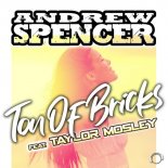 Andrew Spencer feat. Taylor Mosley - Ton Of Bricks (Radio Edit)