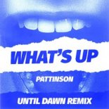 Pattinson - What's Up (Until Dawn Extended Remix)
